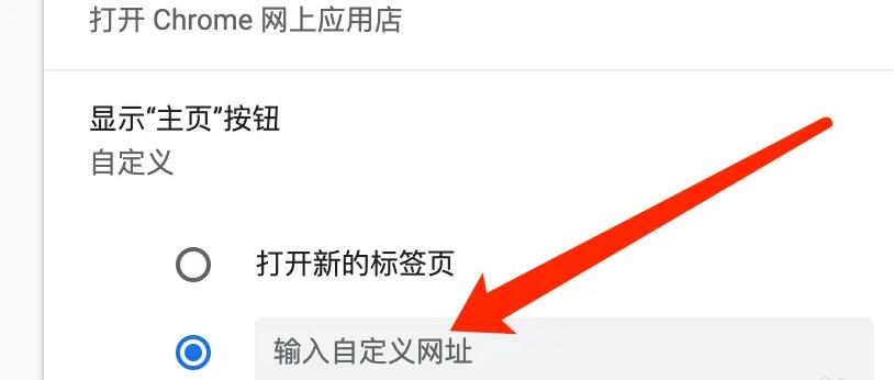 谷歌浏览器主页推荐网址