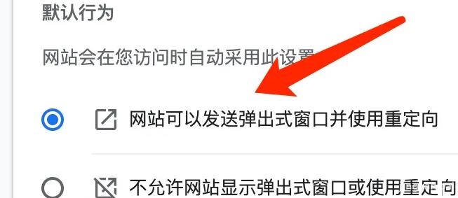 谷歌浏览器重定向次数太多