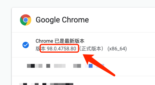 谷歌浏览器google chrome安卓下载