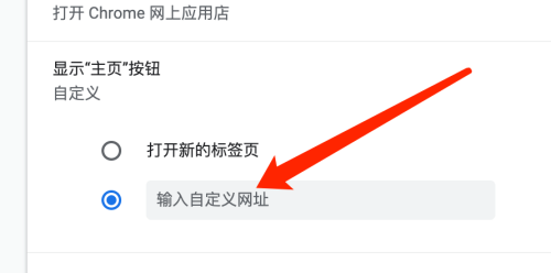 谷歌浏览器google下载