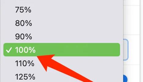 ipad pro谷歌浏览器缩放比例