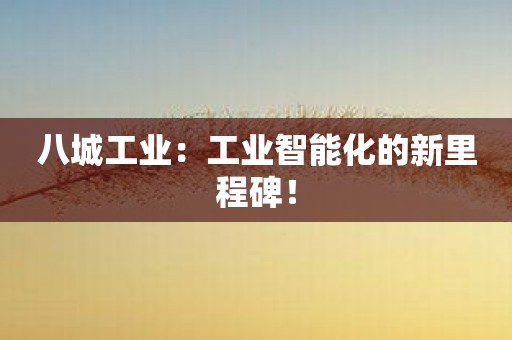 八城工业：工业智能化的新里程碑！