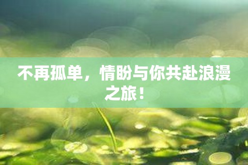 不再孤单，情盼与你共赴浪漫之旅！