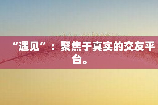 “遇见”：聚焦于真实的交友平台。