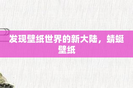 发现壁纸世界的新大陆，蜻蜓壁纸