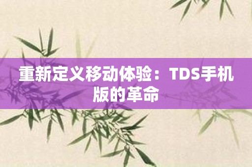 重新定义移动体验：TDS手机版的革命