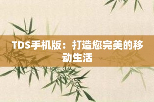 TDS手机版：打造您完美的移动生活