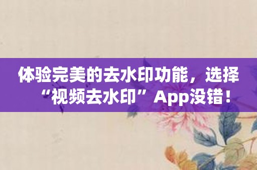 体验完美的去水印功能，选择“视频去水印”App没错！