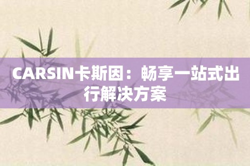 CARSIN卡斯因：畅享一站式出行解决方案