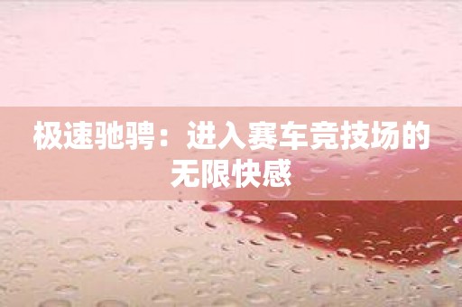 极速驰骋：进入赛车竞技场的无限快感