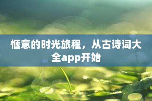 惬意的时光旅程，从古诗词大全app开始