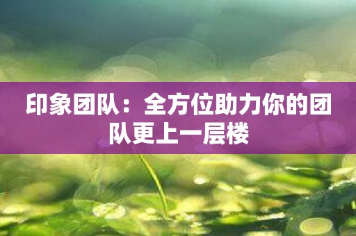 印象团队：全方位助力你的团队更上一层楼