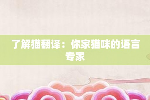 了解猫翻译：你家猫咪的语言专家