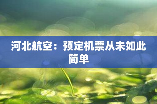 河北航空：预定机票从未如此简单