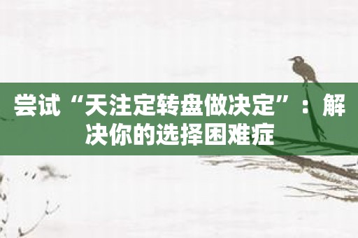 尝试“天注定转盘做决定”：解决你的选择困难症