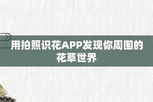 用拍照识花APP发现你周围的花草世界