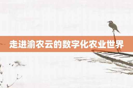 走进渝农云的数字化农业世界