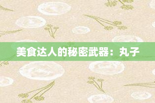 美食达人的秘密武器：丸子