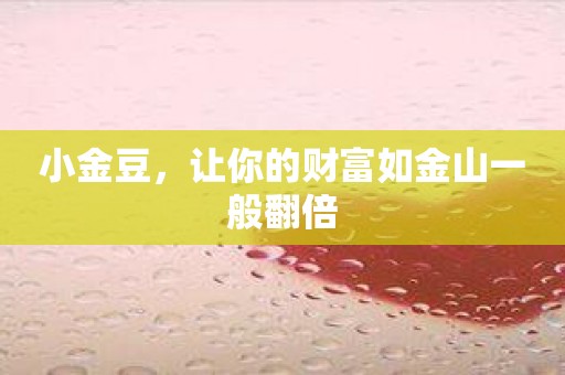 小金豆，让你的财富如金山一般翻倍