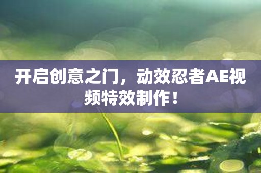 开启创意之门，动效忍者AE视频特效制作！