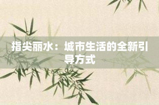 指尖丽水：城市生活的全新引导方式