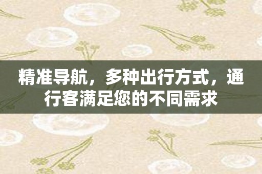 精准导航，多种出行方式，通行客满足您的不同需求