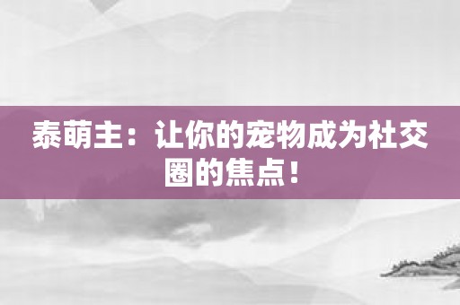 泰萌主：让你的宠物成为社交圈的焦点！