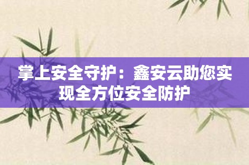 掌上安全守护：鑫安云助您实现全方位安全防护
