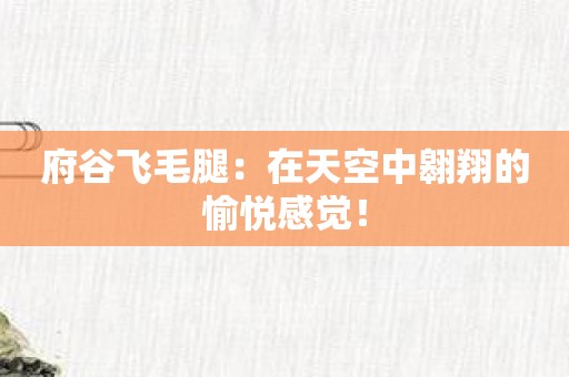 府谷飞毛腿：在天空中翱翔的愉悦感觉！