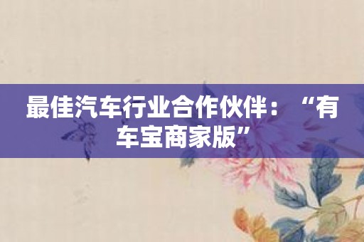 最佳汽车行业合作伙伴：“有车宝商家版”