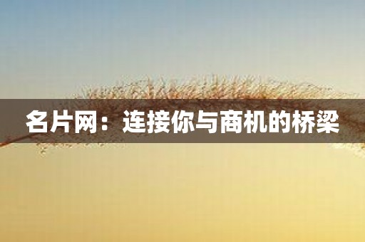 名片网：连接你与商机的桥梁
