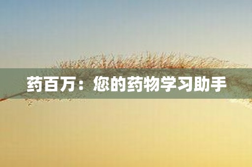 药百万：您的药物学习助手