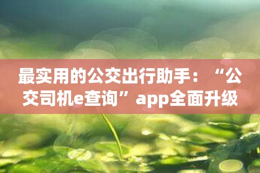 最实用的公交出行助手：“公交司机e查询”app全面升级