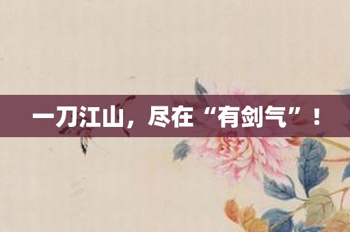 一刀江山，尽在“有剑气”！