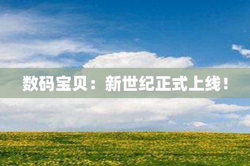数码宝贝：新世纪正式上线！