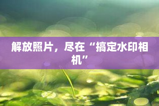 解放照片，尽在“搞定水印相机”