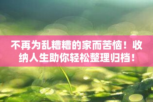 不再为乱糟糟的家而苦恼！收纳人生助你轻松整理归档！