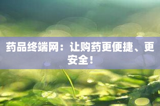 药品终端网：让购药更便捷、更安全！