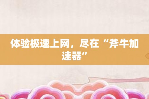 体验极速上网，尽在“斧牛加速器”