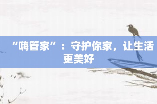 “嗨管家”：守护你家，让生活更美好