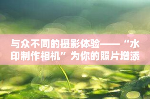 与众不同的摄影体验——“水印制作相机”为你的照片增添惊喜