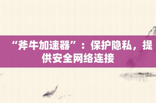 “斧牛加速器”：保护隐私，提供安全网络连接