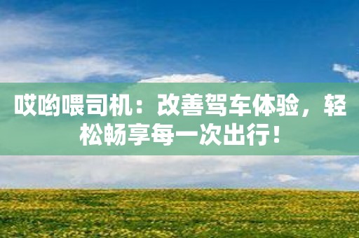 哎哟喂司机：改善驾车体验，轻松畅享每一次出行！