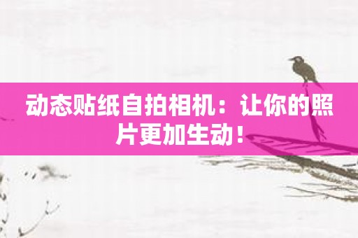 动态贴纸自拍相机：让你的照片更加生动！