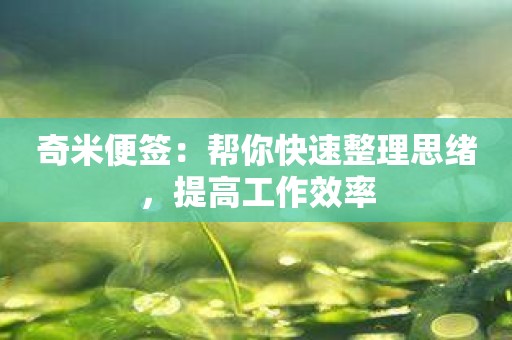 奇米便签：帮你快速整理思绪，提高工作效率