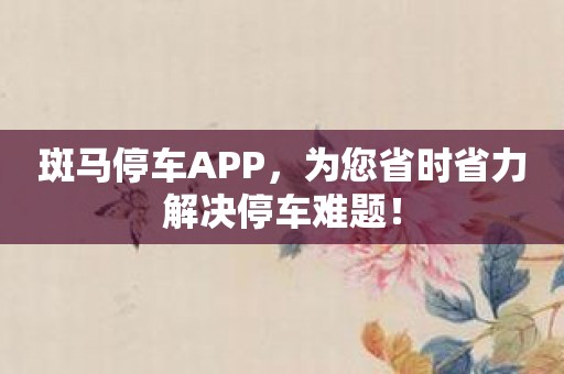 斑马停车APP，为您省时省力解决停车难题！