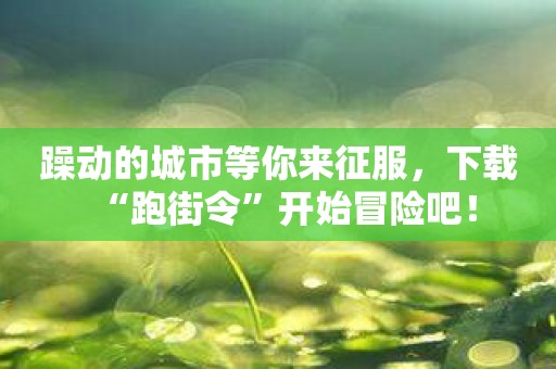 躁动的城市等你来征服，下载“跑街令”开始冒险吧！
