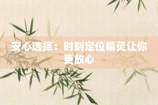 安心选择：时刻定位精灵让你更放心