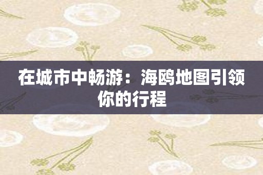 在城市中畅游：海鸥地图引领你的行程