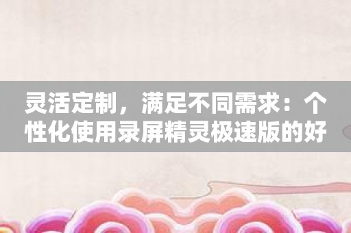 灵活定制，满足不同需求：个性化使用录屏精灵极速版的好助手